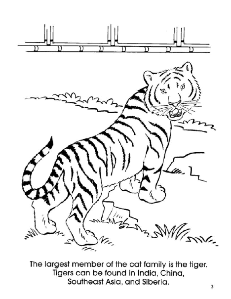 Dover Coloring Book - At the Zoo.pdf,第4页预览