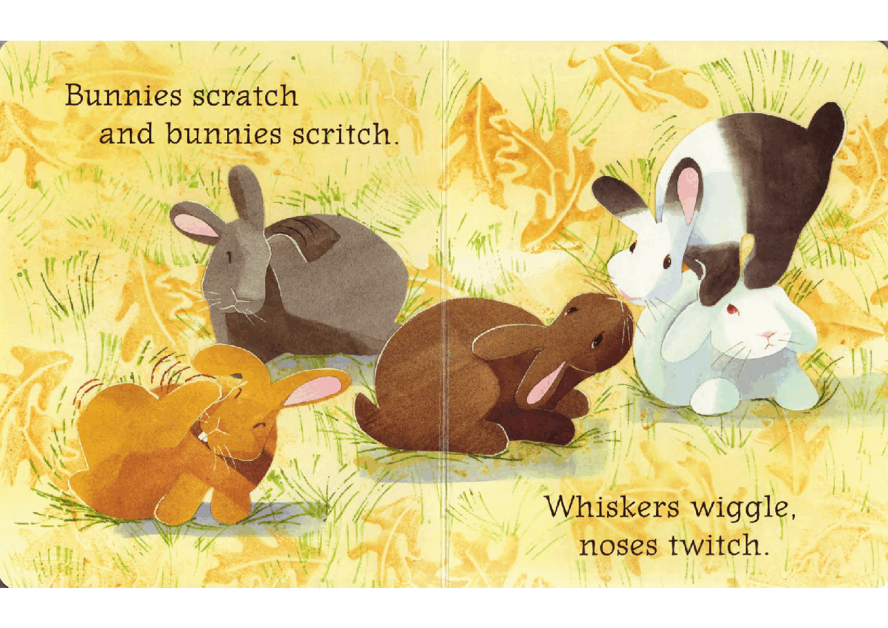 Hop! (2005.Candlewick Press) (Brainiac).pdf,第4页预览