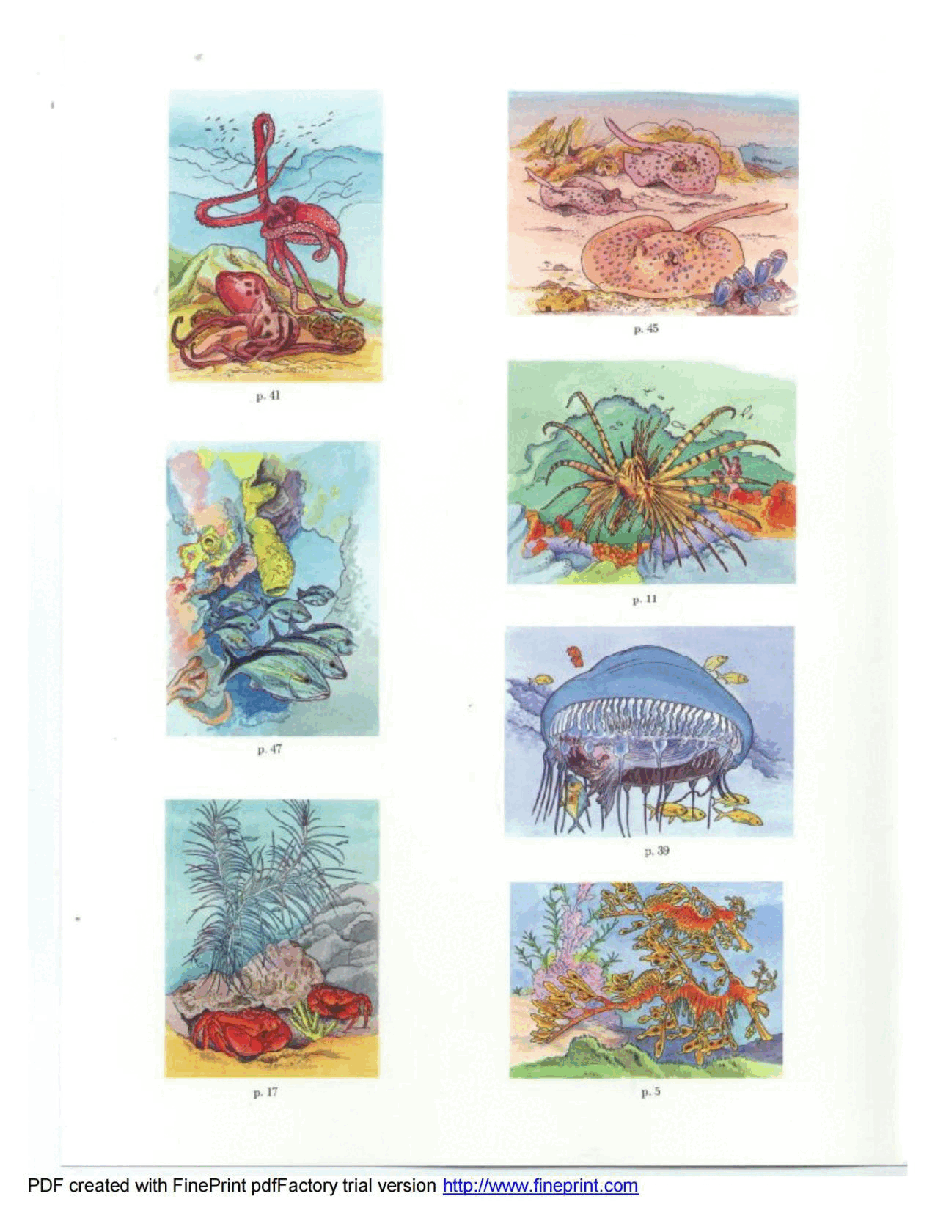 Dover Coloring Book - Coral Reef Coloring Book (1995) (LQ).pdf,第2页预览