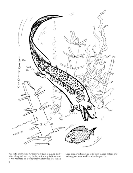 Dover Coloring Book - Before The Dinosaurs (LQ).pdf,第3页预览
