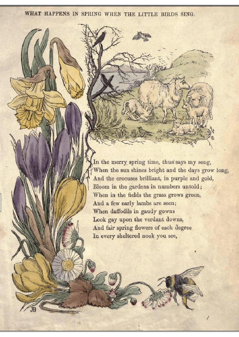 Caw! Caw! or The Chronicle Of Crows (Grant & Grifffith) (1848).pdf，第4页预览