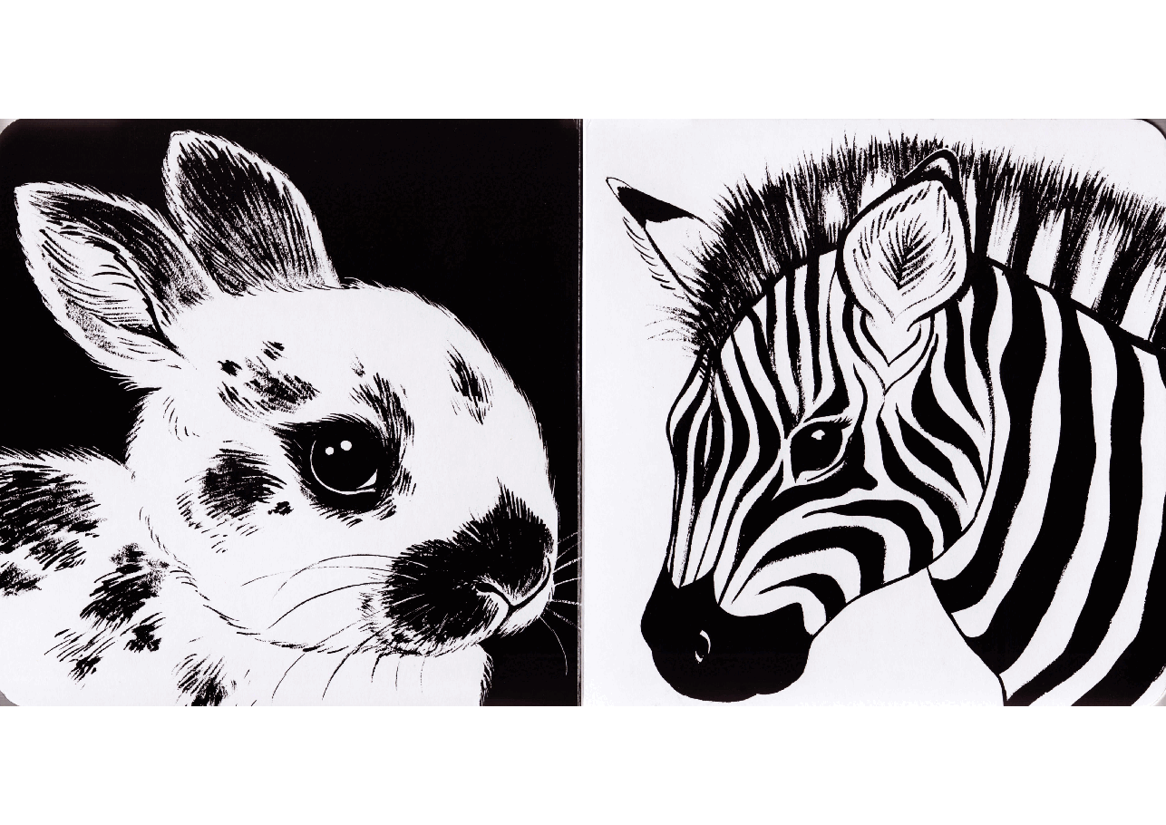 Baby Animals Black and White (1998.Charlesbridge) (Brainiac).pdf,第3页预览