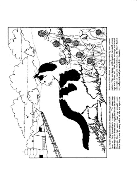 Dover Coloring Book - The Cat Coloring Book (LQ).pdf,第3页预览
