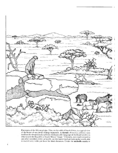 Dover Coloring Book - African Plains (LQ).pdf,第4页预览