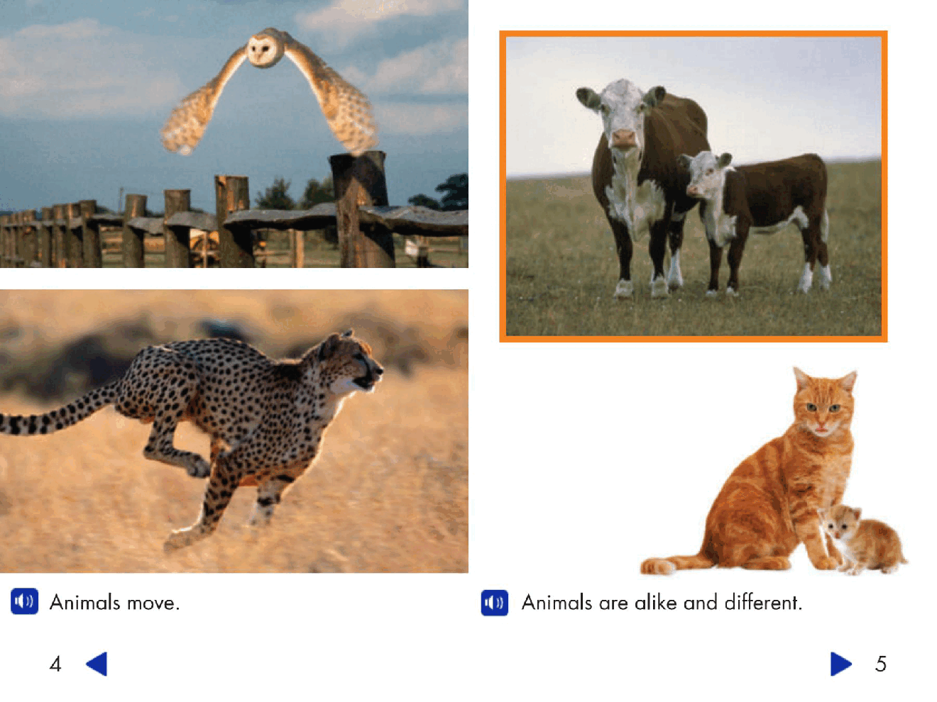 Pearson 0-6岁低幼读物Growing and Changing.pdf,第4页预览