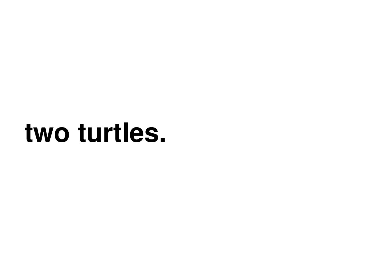机灵狗第1级S15_two turtles.pdf,第4页预览