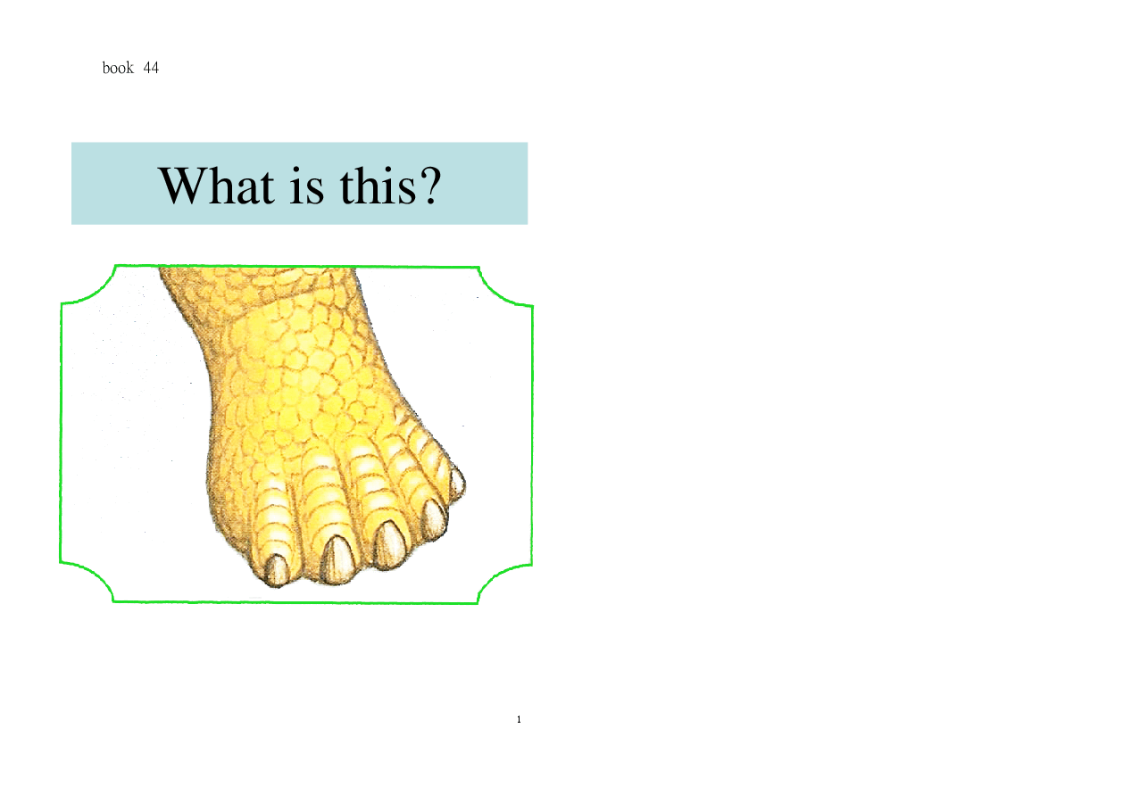机灵狗第1级s44- what is this.pdf,第1页预览