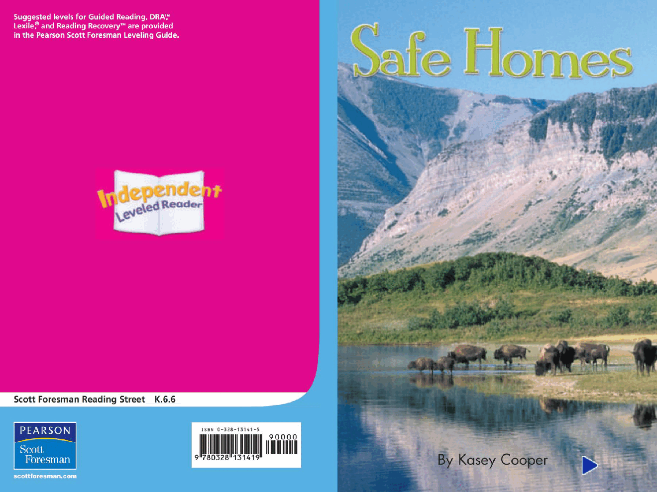 Pearson 0-6岁低幼读物Safe Homes.pdf,第1页预览