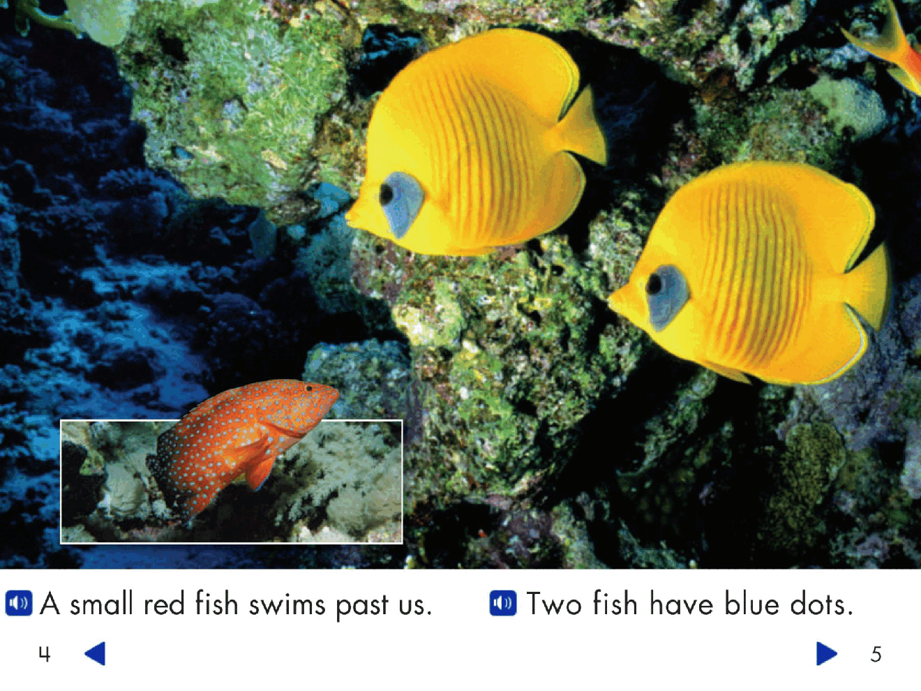 Pearson 0-6岁低幼读物Different Fish.pdf,第4页预览