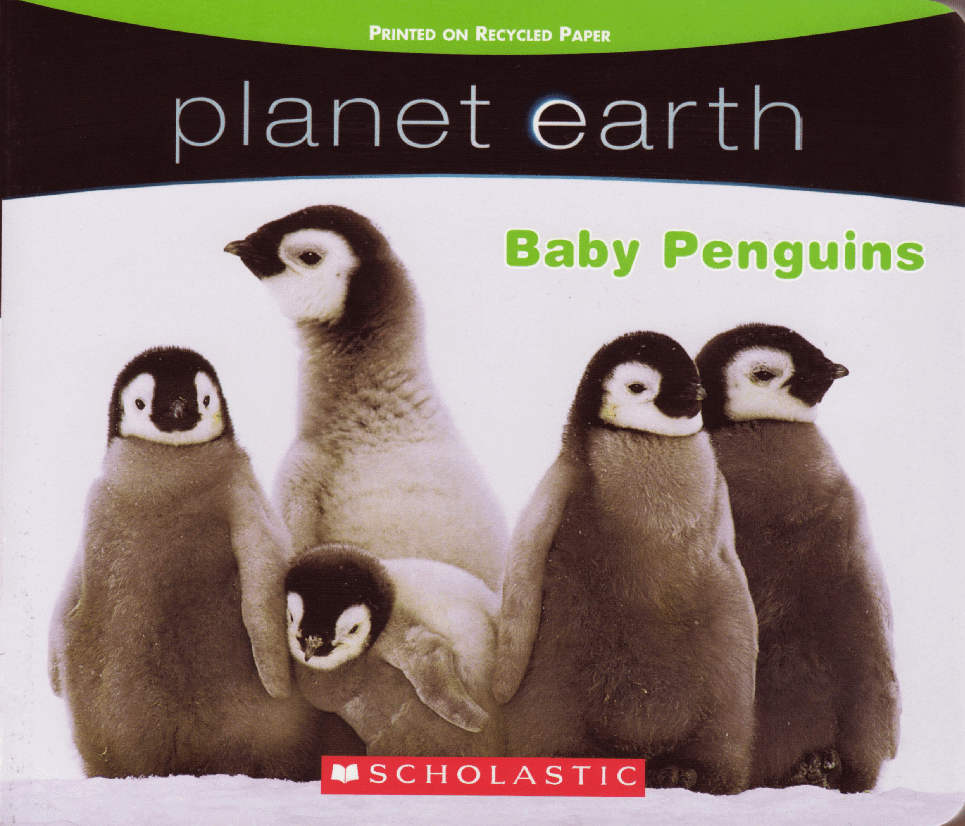 planet earth Baby Penguins Scholastic 2009-Jan 14p c2c (Brainiac).pdf,第1页预览