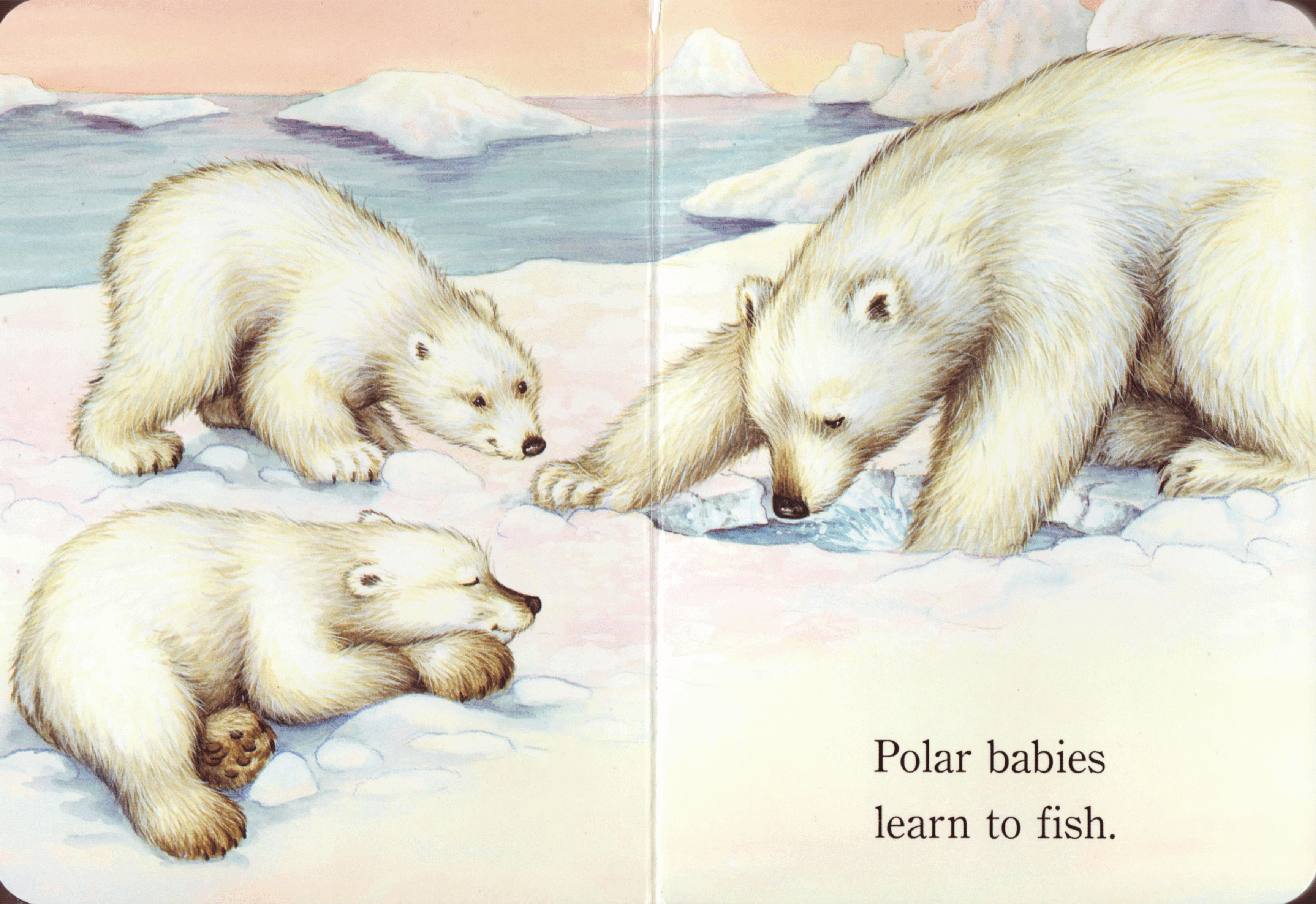 Polar Babies (2008.Random House) (Brainiac).pdf,第4页预览