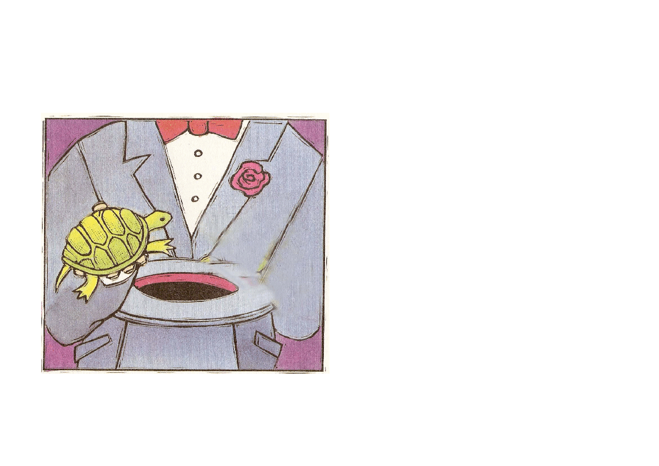 机灵狗第1级S15_two turtles.pdf,第3页预览