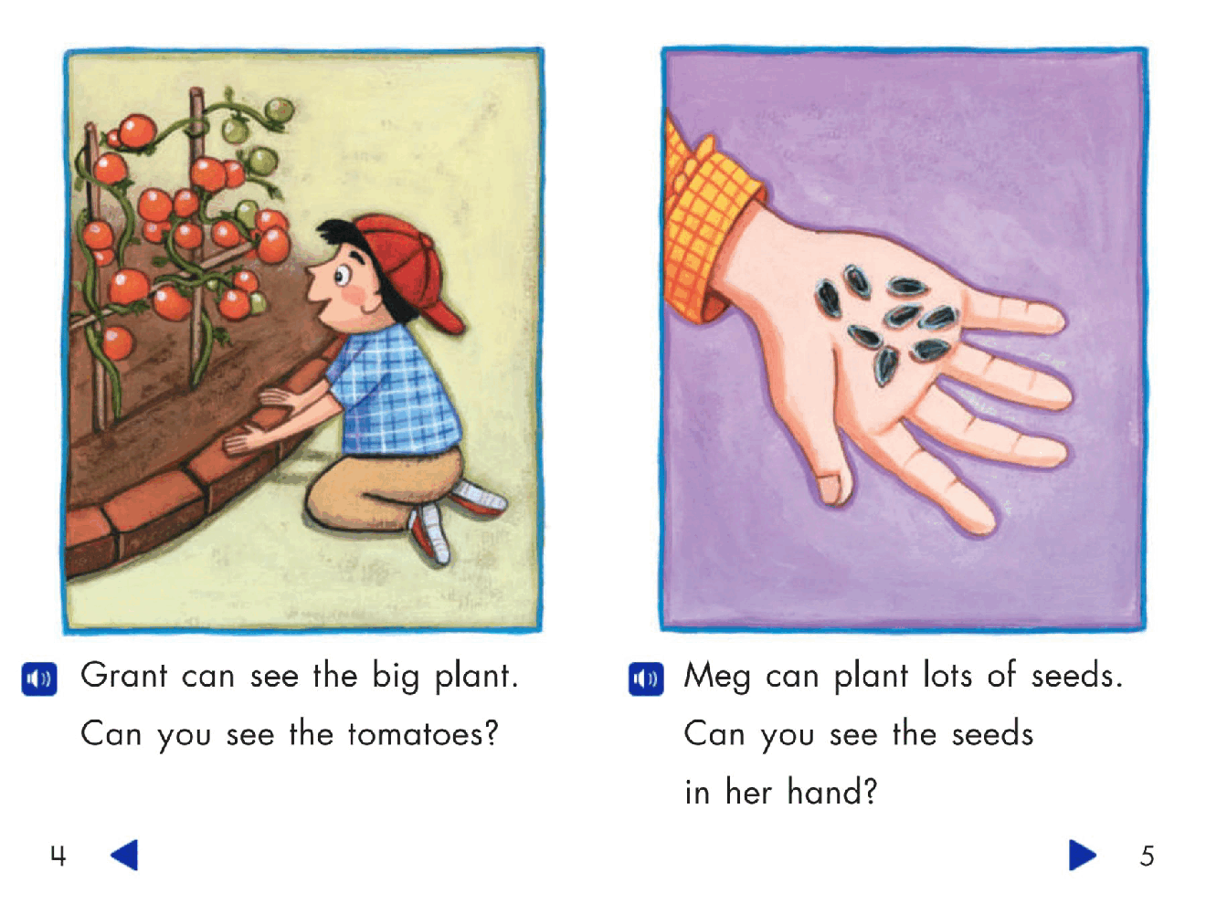 Pearson 0-6岁低幼读物From Seeds to Plants.pdf,第4页预览