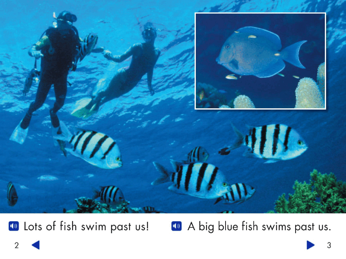 Pearson 0-6岁低幼读物Different Fish.pdf,第3页预览