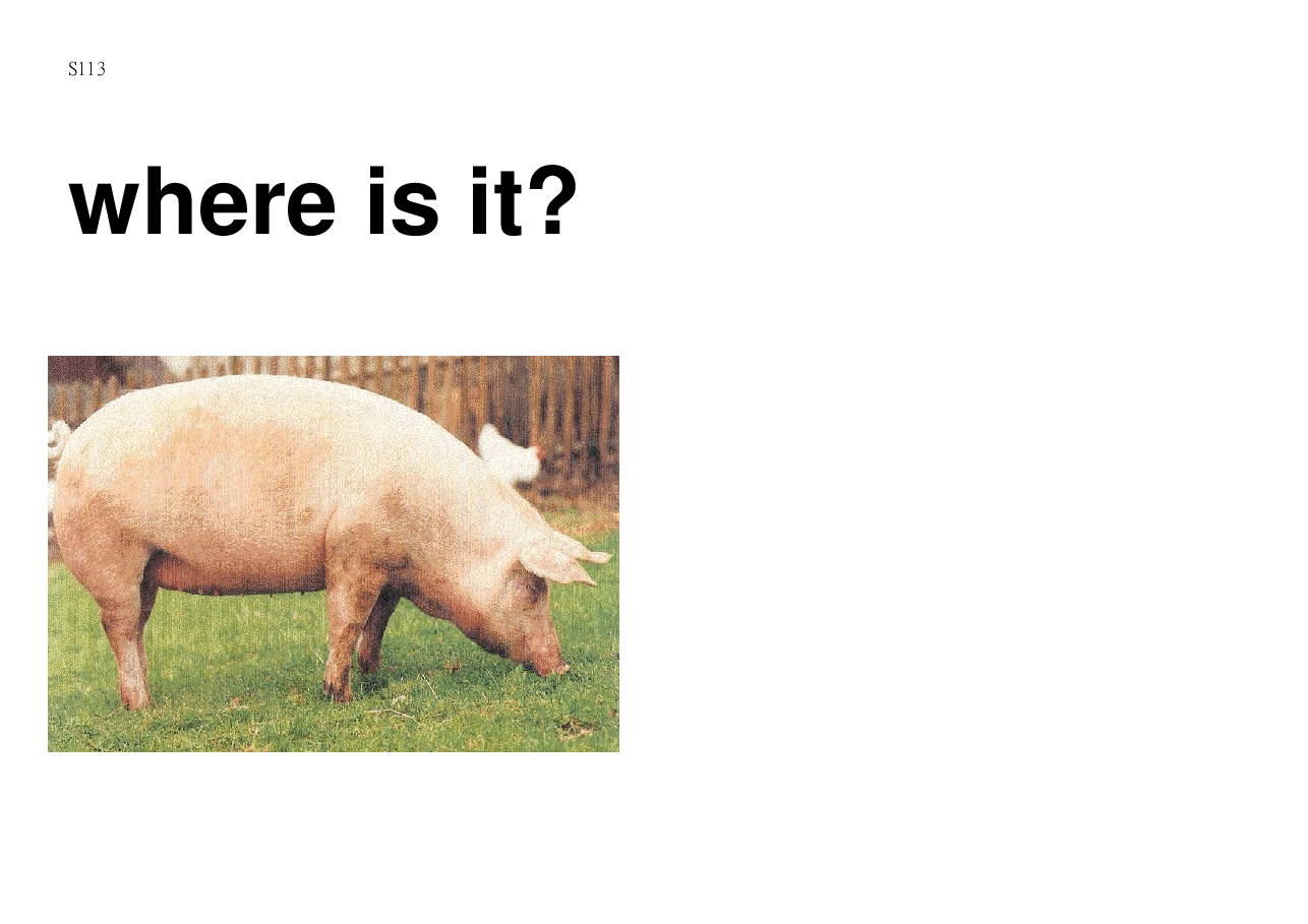 机灵狗第1级S13_Where is it.pdf,第1页预览