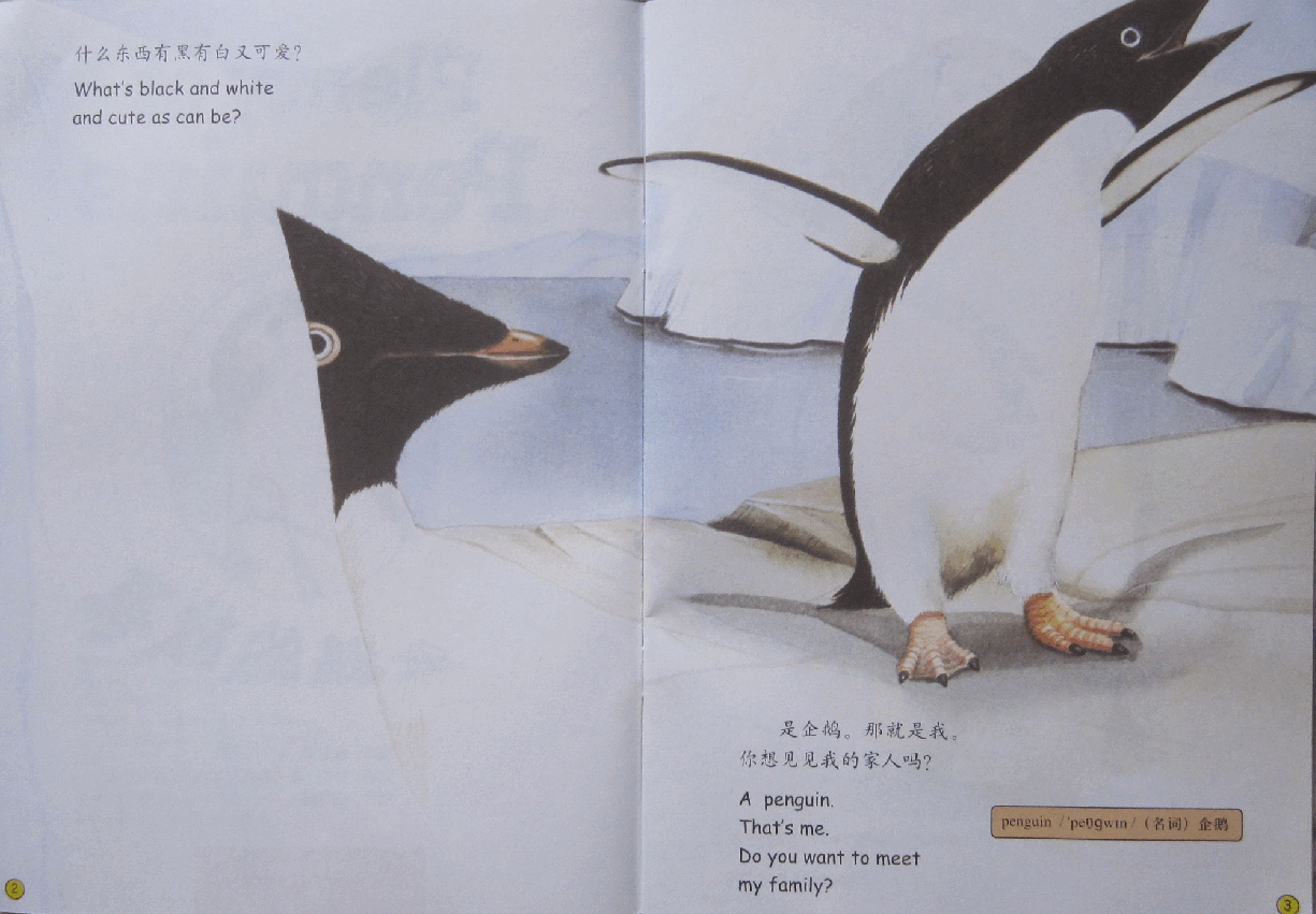 第一级（适合3-6岁儿童）企鹅的故事.pdf，第4页预览