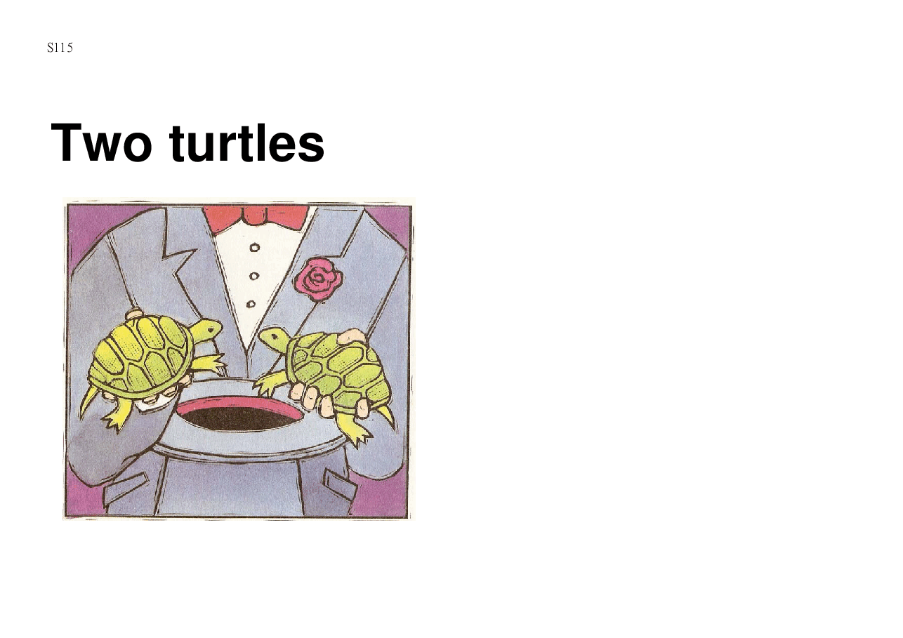 机灵狗第1级S15_two turtles.pdf,第1页预览