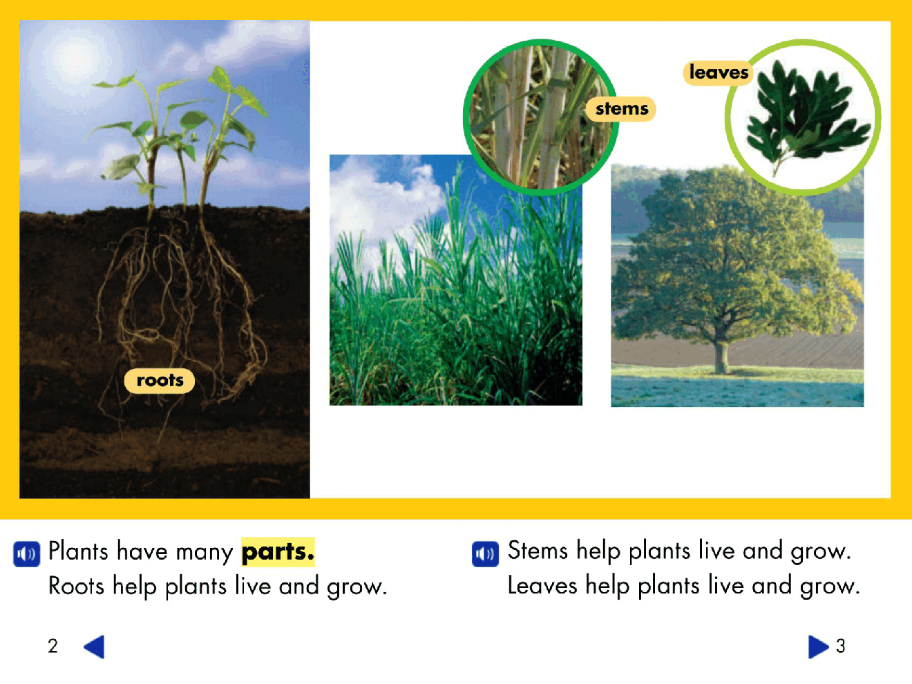 Pearson 0-6岁低幼读物Plant and Animal Parts.pdf,第3页预览