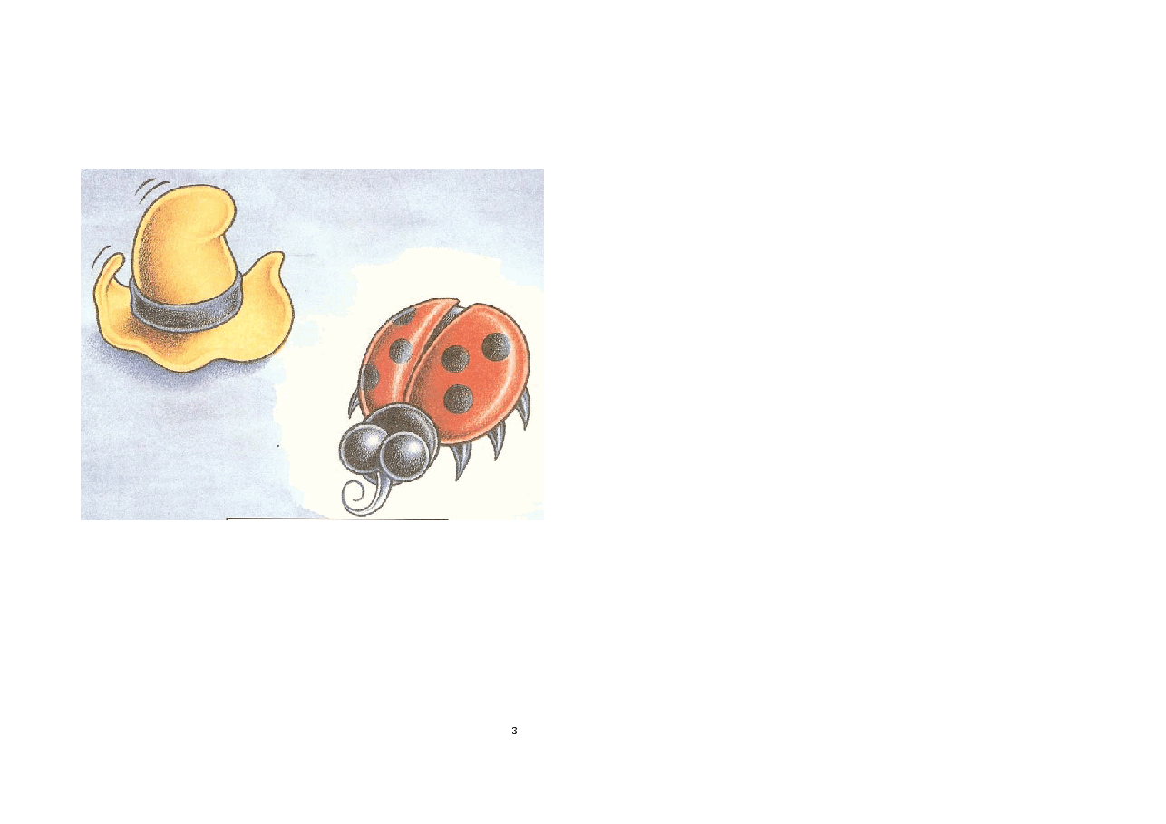 机灵狗第1级S29-What under the hat.pdf,第3页预览