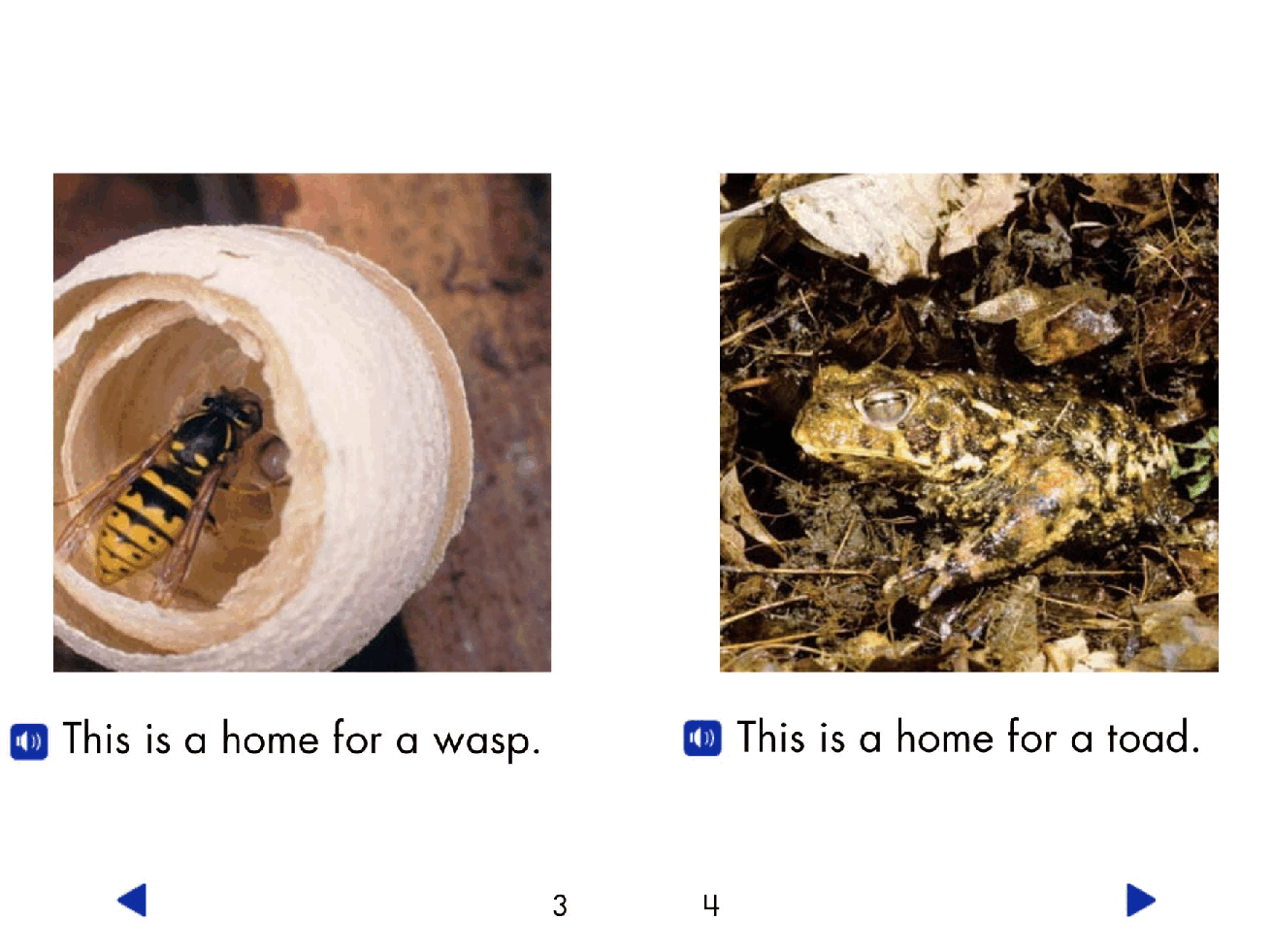 Pearson 0-6岁低幼读物Animals Homes.pdf,第4页预览
