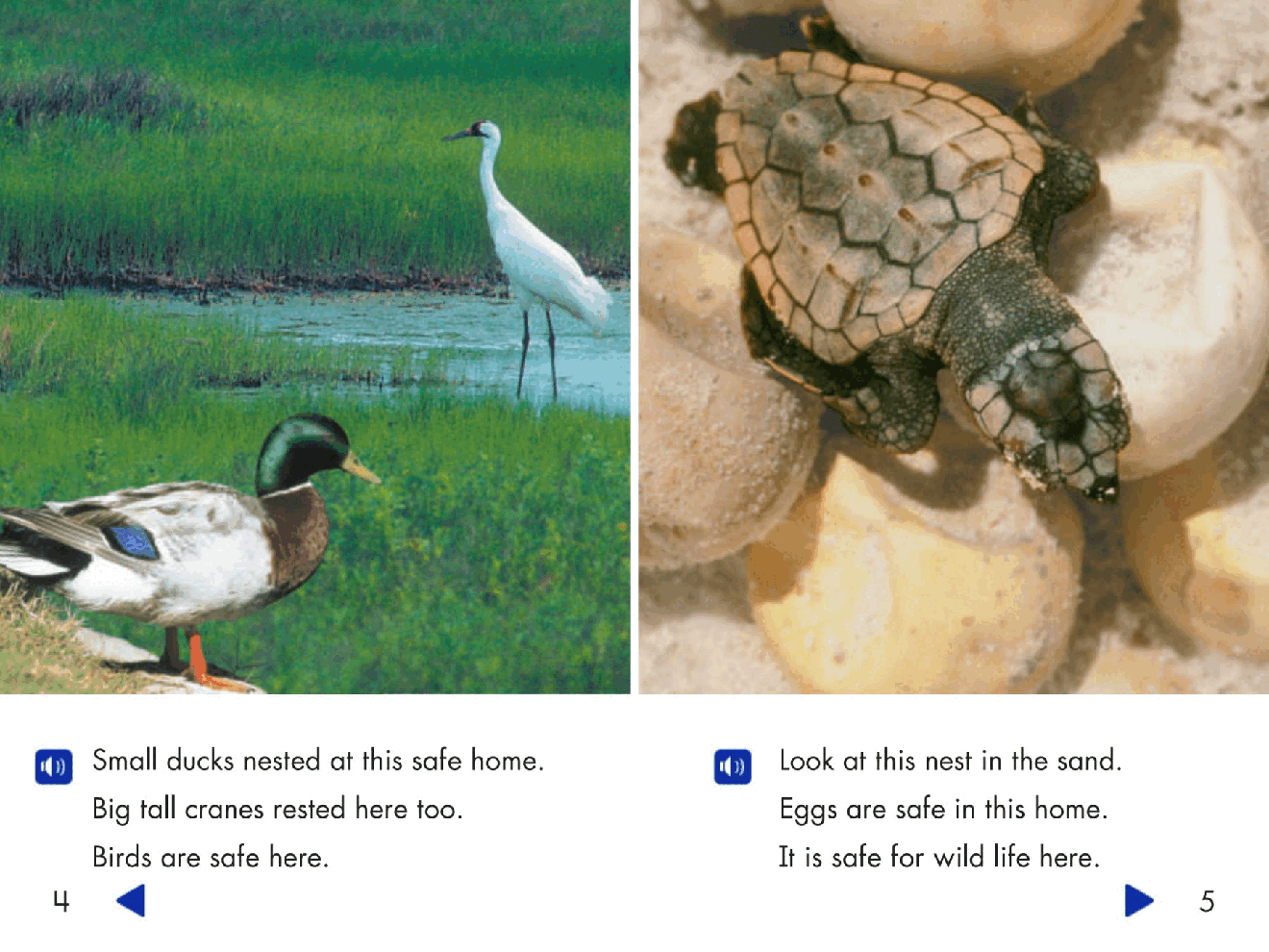 Pearson 0-6岁低幼读物Safe Homes.pdf,第4页预览