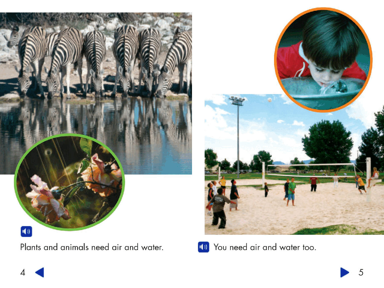 Pearson 0-6岁低幼读物Needs of Plants and Animals.pdf,第4页预览