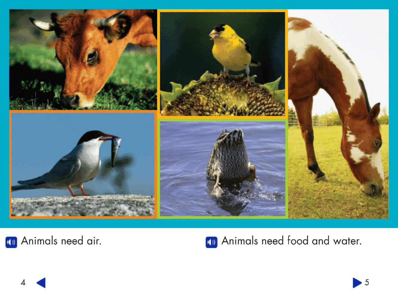 Pearson 0-6岁低幼读物Learning About Plants and Animals.pdf,第4页预览