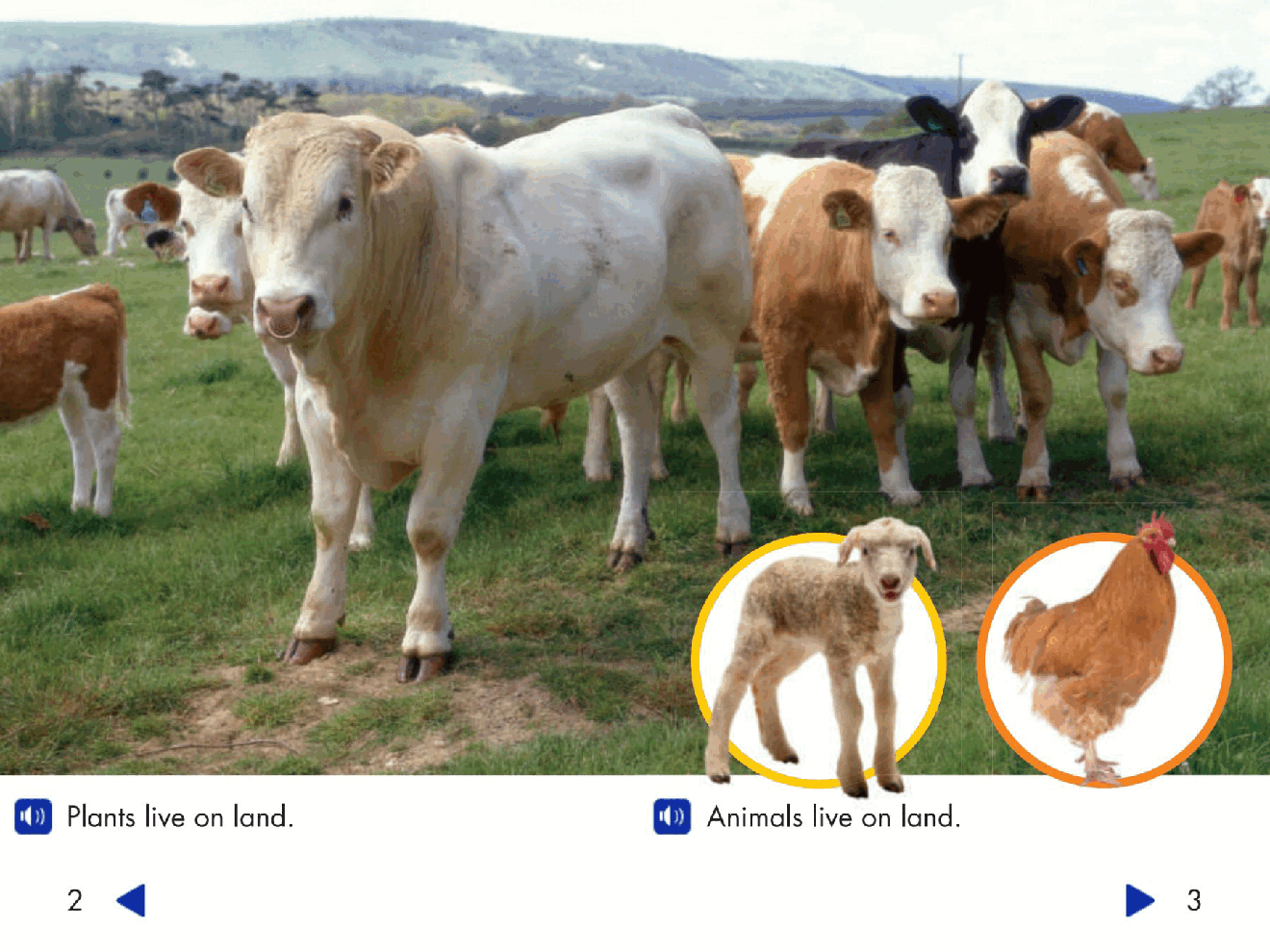 Pearson 0-6岁低幼读物Plants and Animals All Around.pdf,第3页预览