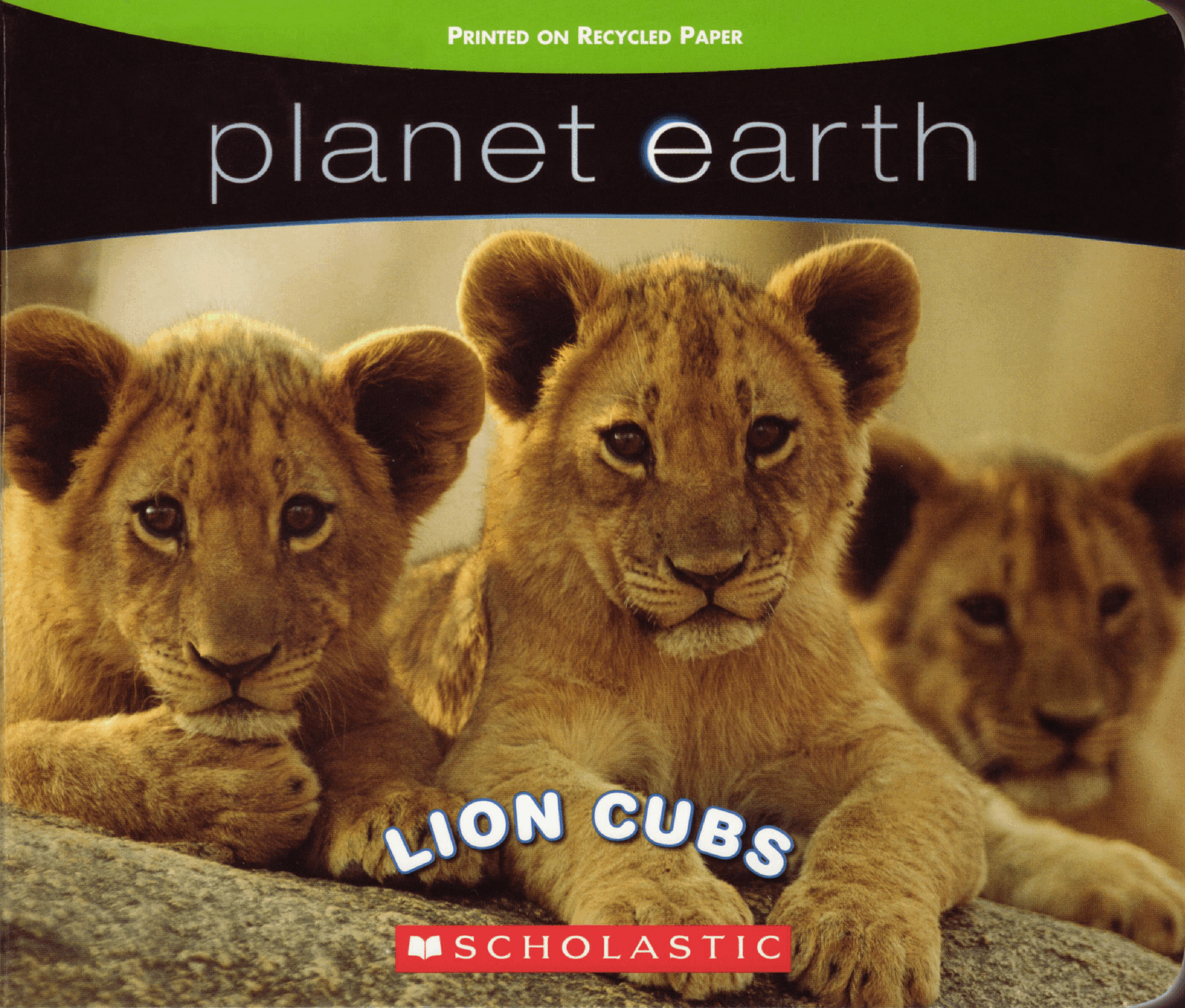 planet earth Lion Cubs (2009.Scholastic) (Brainiac).pdf,第1页预览