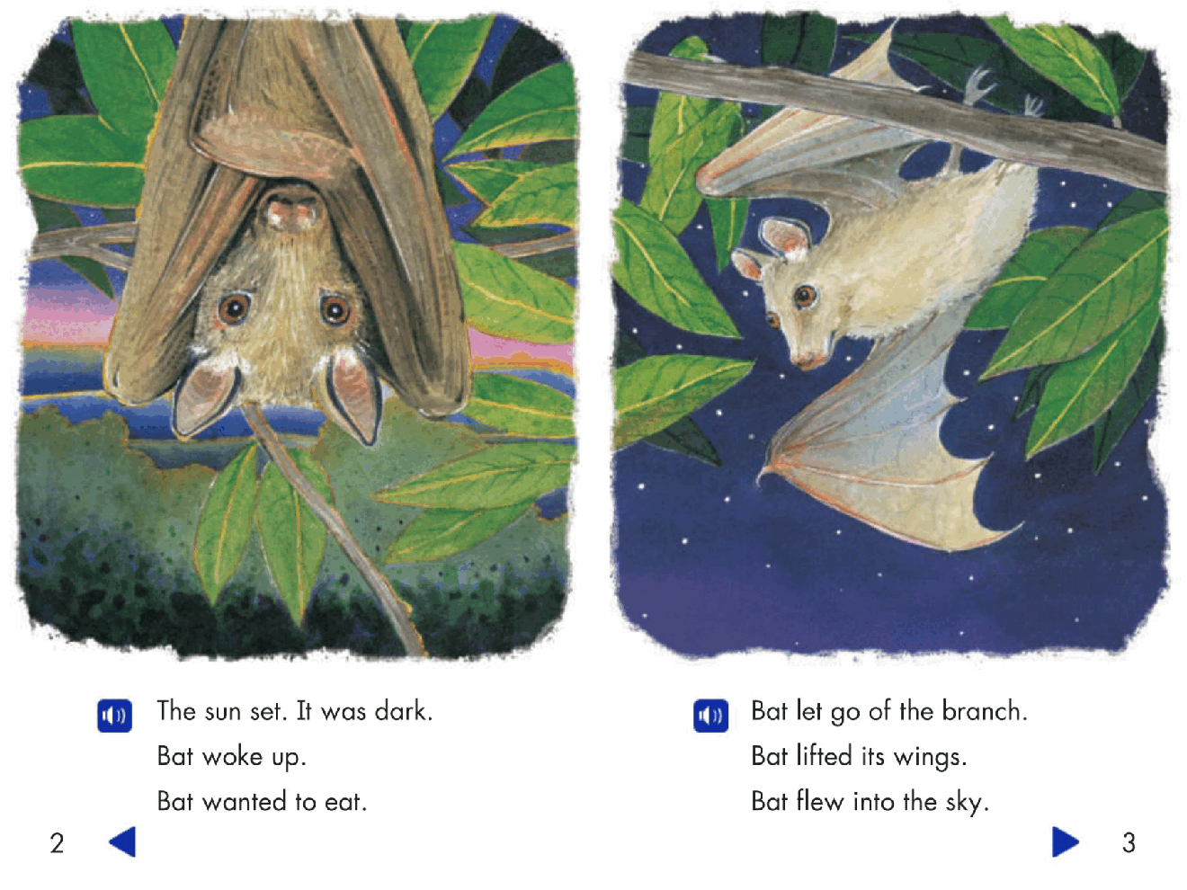 Pearson 0-6岁低幼读物Where Are All the Bats.pdf,第3页预览