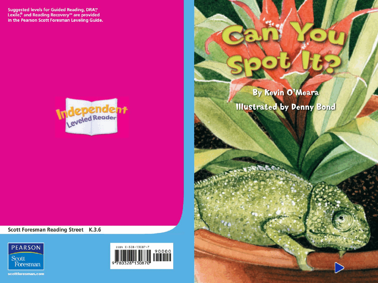 Pearson 0-6岁低幼读物Can You Spot It.pdf,第1页预览