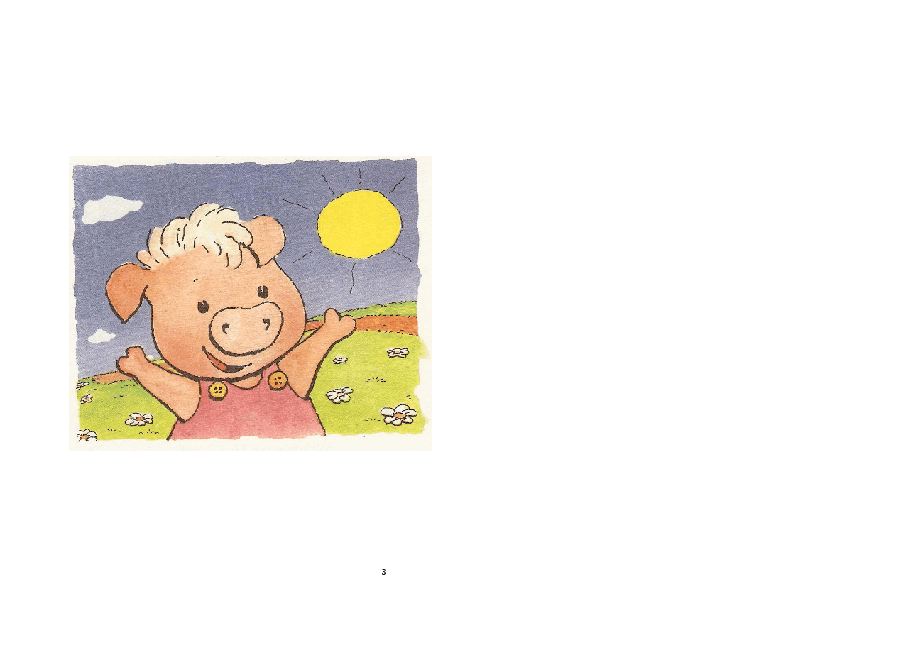 机灵狗第1级S10_pink pig.pdf,第3页预览
