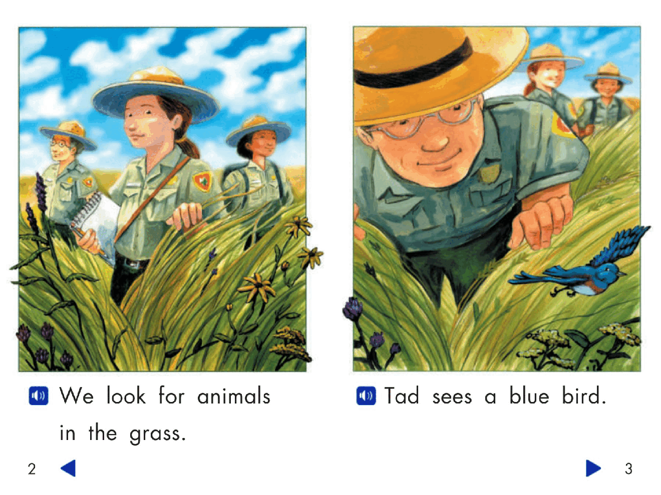 Pearson 0-6岁低幼读物Animals in the Grass.pdf，第3页预览