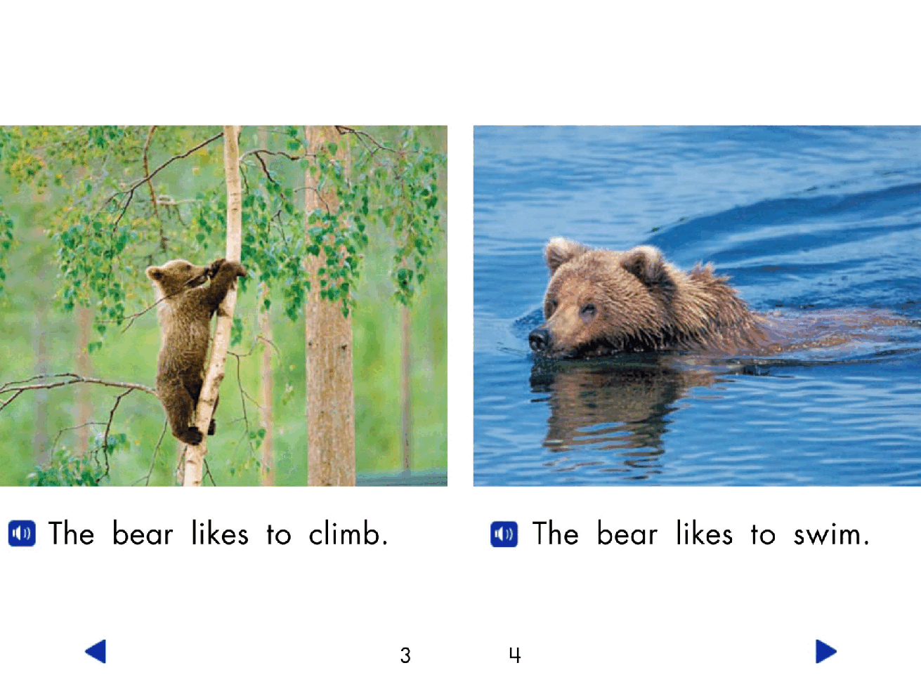Pearson 0-6岁低幼读物The Bear.pdf，第4页预览