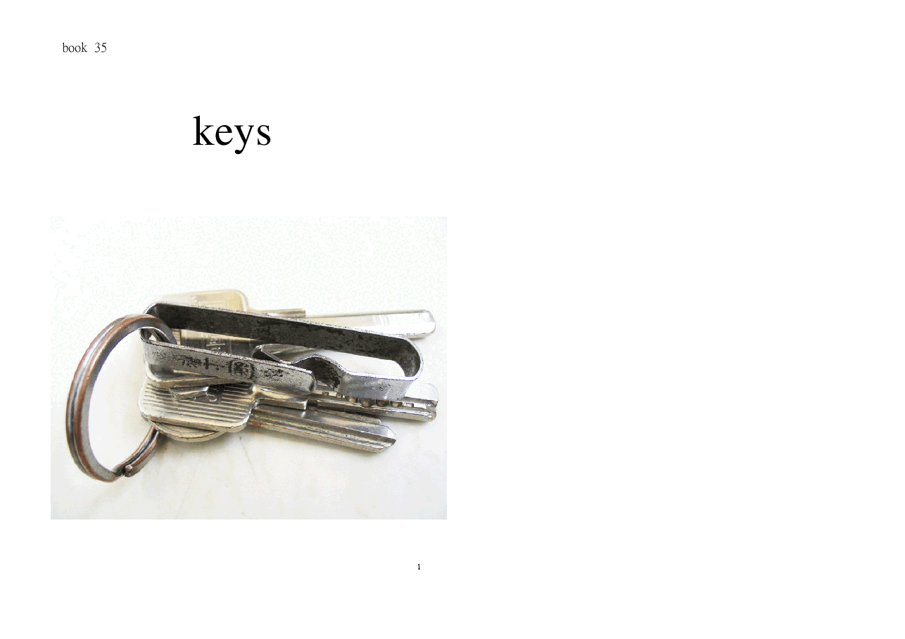 机灵狗第1级s35-keys.pdf,第1页预览
