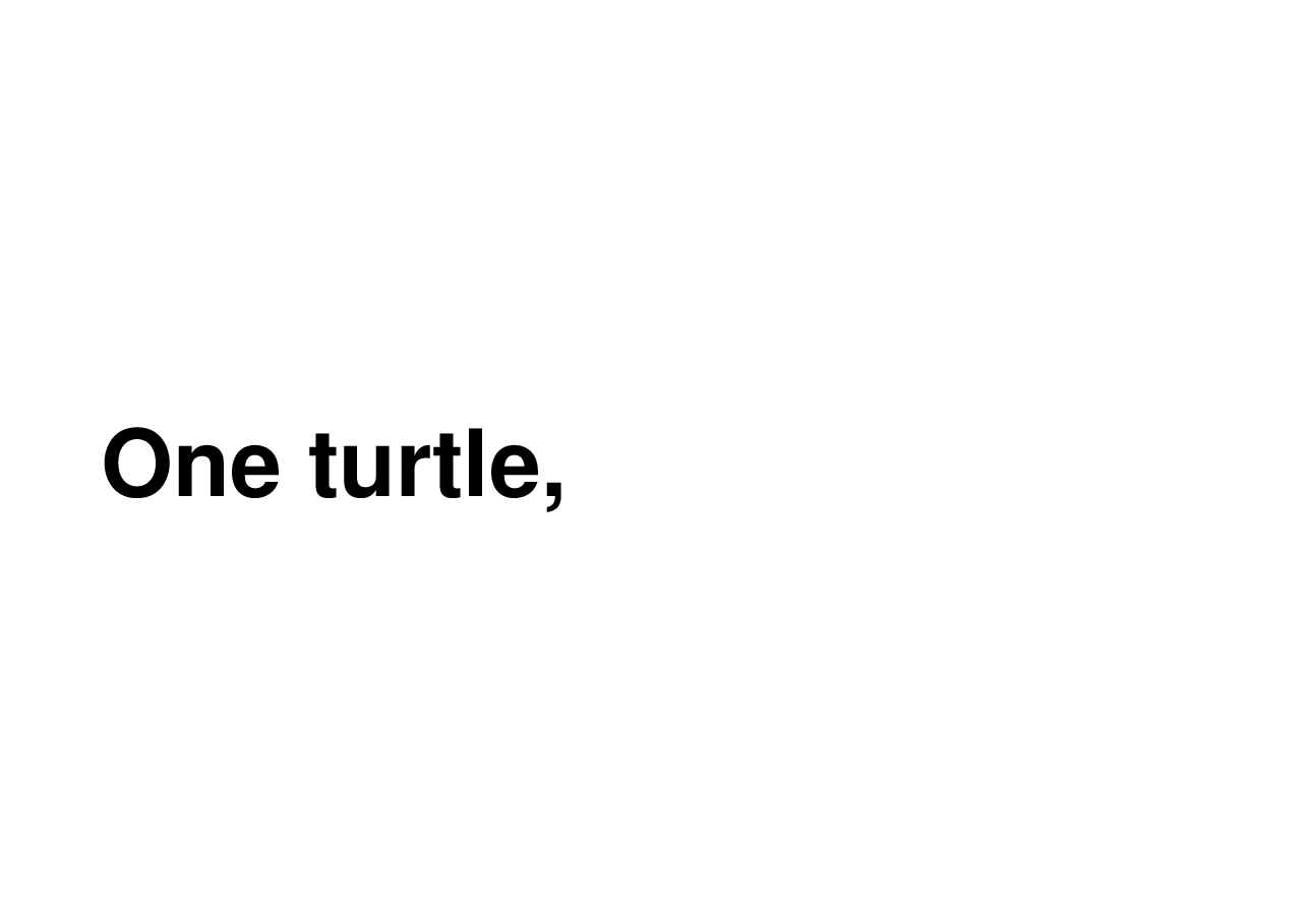 机灵狗第1级S15_two turtles.pdf,第2页预览