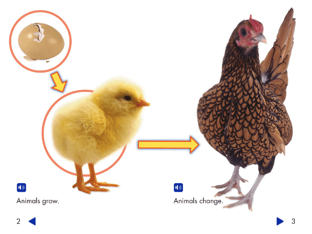 Pearson 0-6岁低幼读物Growing and Changing.pdf,第3页预览
