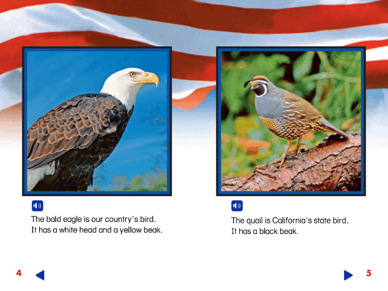 Pearson 0-6岁低幼读物Symbols of Our Land.pdf，第4页预览
