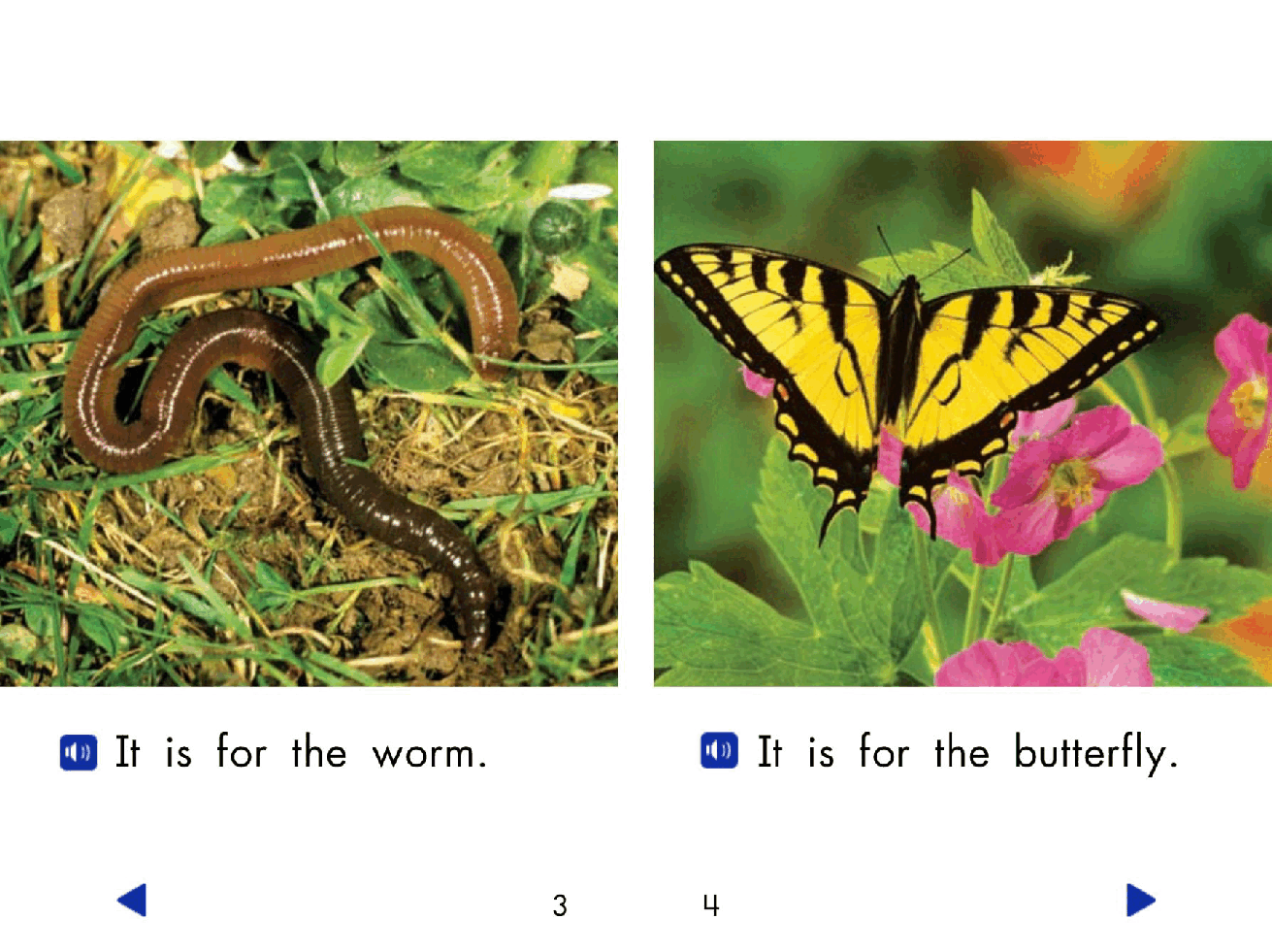 Pearson 0-6岁低幼读物In the Garden.pdf,第4页预览