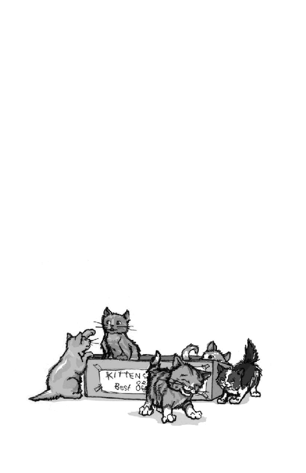 Beverly Cleary eBooks 29本Socks.pdf,第2页预览