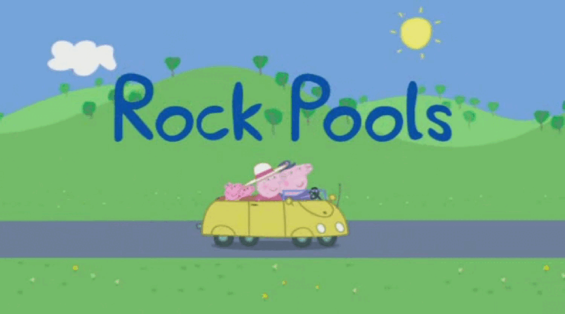 自制绘本-55本PDFS02E07 Rock pools.pdf，第1页预览