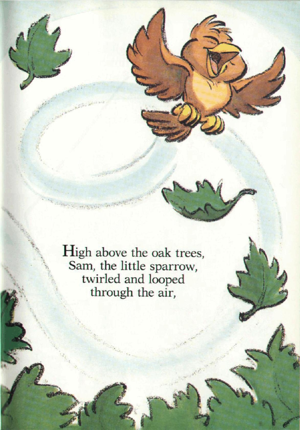 Adam Raccoon and the Flying Machine (1989)(c2c)(bZc-DCP).pdf,第4页预览
