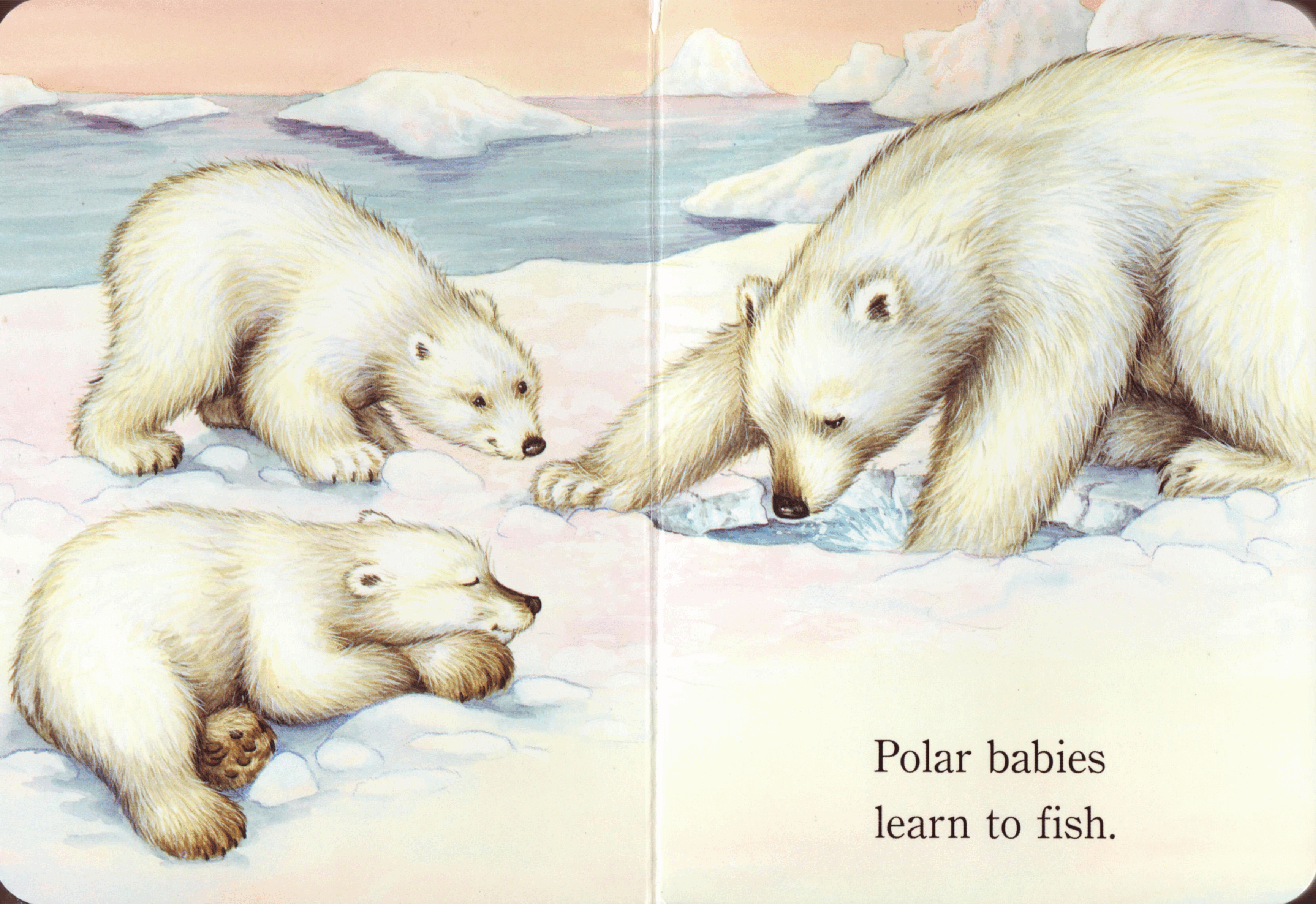 Polar Babies (2008.Random House) (Brainiac).pdf,第4页预览