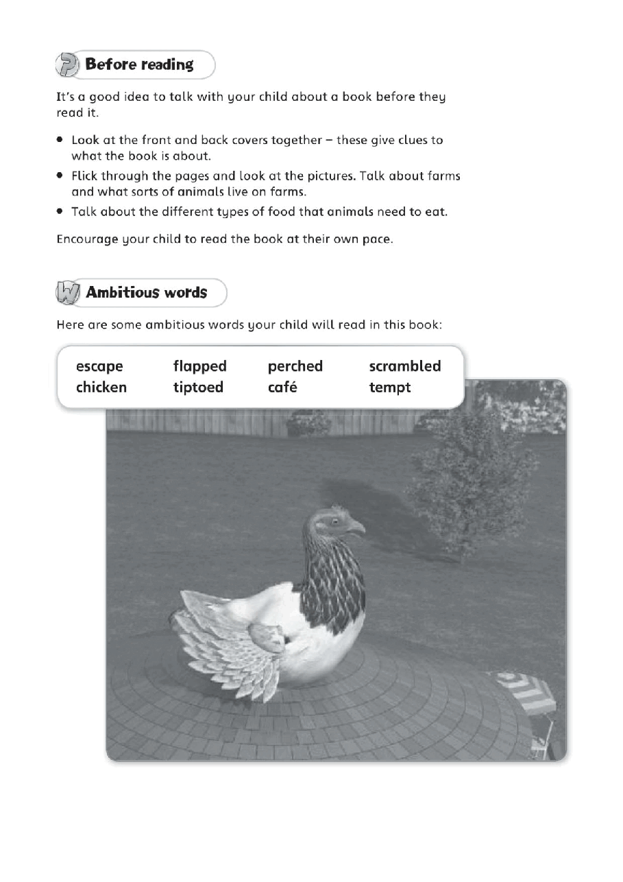 X牛津X计划系列1-9级绘本82 Escape of the Giant Chicken.pdf，第2页预览