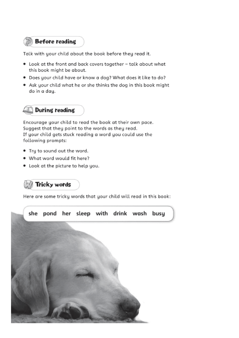 X牛津X计划系列1-9级绘本24 A Dog's Day.pdf,第2页预览