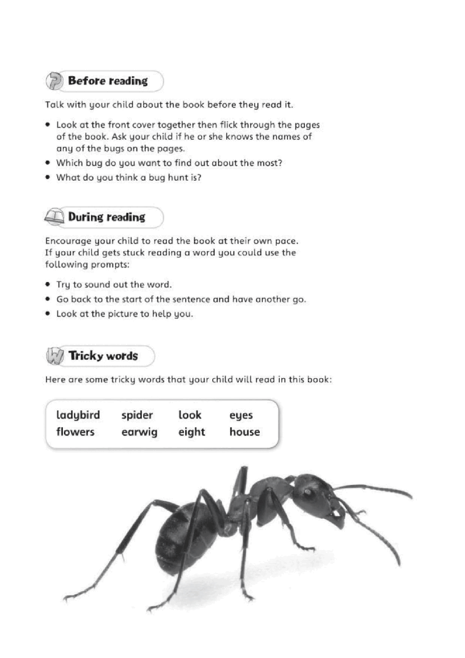 X牛津X计划系列1-9级绘本44 Bug Hunt.pdf,第2页预览