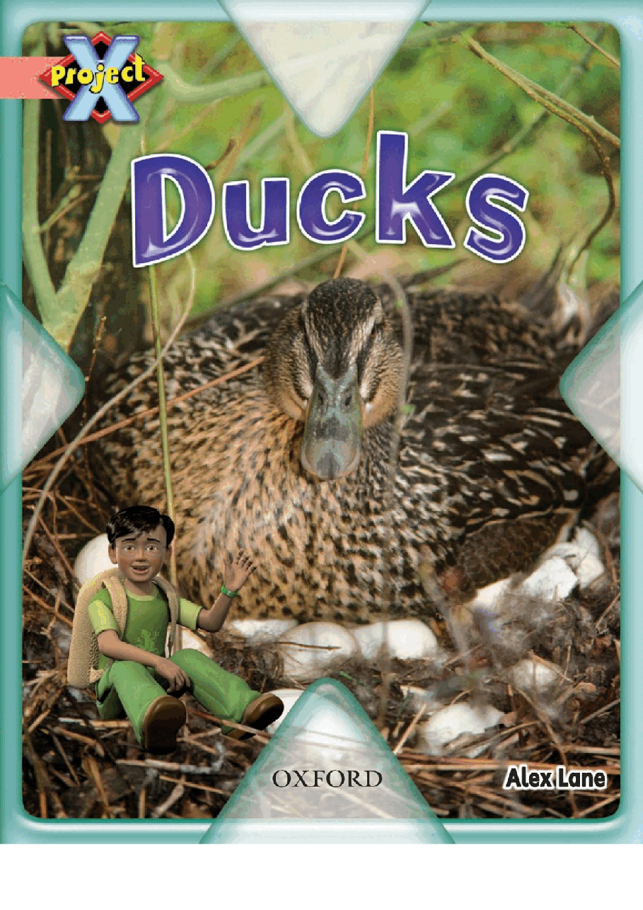 X牛津X计划系列1-9级绘本14 Ducks.pdf,第1页预览