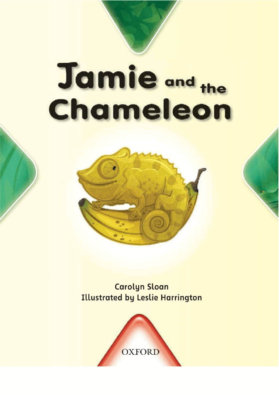 X牛津X计划系列1-9级绘本73 Jamie and the Chameleon.pdf,第3页预览