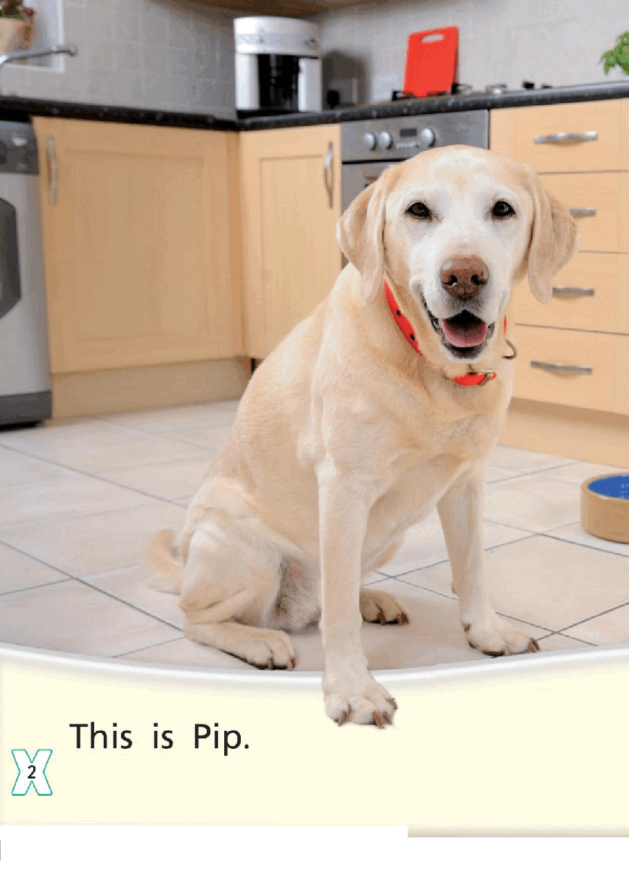 X牛津X计划系列1-9级绘本24 A Dog's Day.pdf,第4页预览