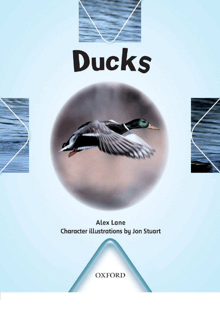 X牛津X计划系列1-9级绘本14 Ducks.pdf,第3页预览